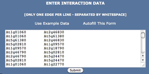 Data Entry Form - Filled using Autofill