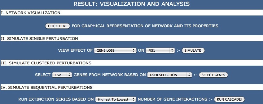 NEXCADE SCAN RESULT - Main Outpout Window