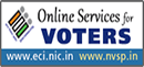 Online service for voters