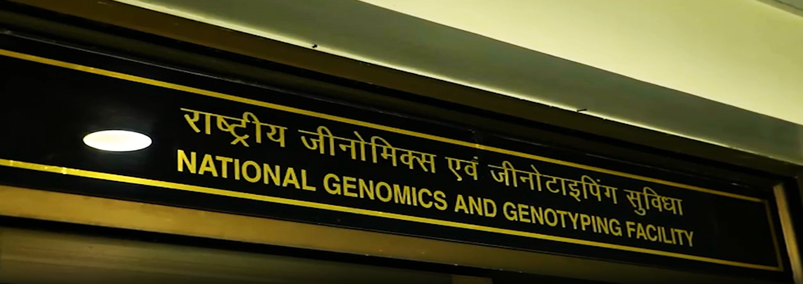 National Genomics and Genotyping Facility (NGGF)